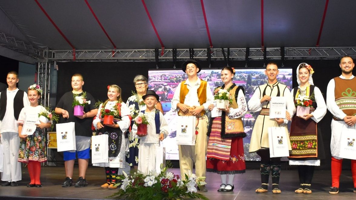 Kulturno-umetnička dru&scaron;tva na teritoriji op&scaron;tine Pećinci