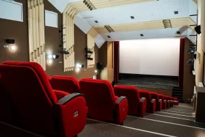 BESPLATNO ZA NAJMLAĐE: Prvom projekcijom za decu ponovo počinje da radi bioskop u Pećincima